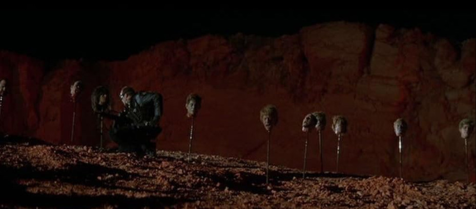 A martian federal officer stands on a hilltop and looks at heads on pikes